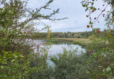 Tour Wandern Bernissart - Harchies 170923 - Photo