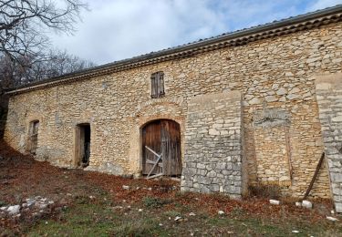 Trail Walking Châteauneuf-Val-Saint-Donat - CHATEAU NVSD les borries , jas de la Cougordiere , borri de Mathieu , bergerie de Combe Belle , borri de Mouranchon o l  - Photo