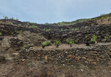 Percorso Marcia Collioure - stElme - Photo