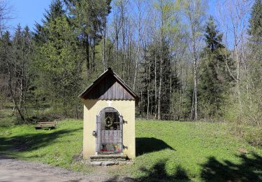 Percorso A piedi Kammern im Liesingtal - Marterlweg Kammern Rundgang 1 (Grün) - Photo