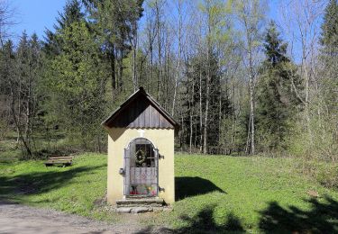 Trail On foot Kammern im Liesingtal - Marterlweg Kammern Rundgang 1 (Grün) - Photo