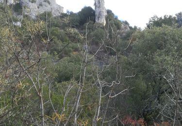 Excursión Senderismo Méthamis - là nesque - Photo