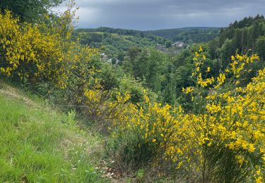 Trail Walking Monschau - Tour de Monschau 20Km - Photo