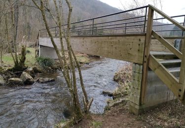 Excursión Senderismo Durbuy - OPPAGNE ... la vallée de l'Aisne. - Photo