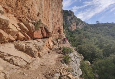 Trail Walking Cabasse - Autour de Cabasse - Photo