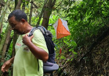 Randonnée Marche L'Ajoupa-Bouillon - Prepa CO DEAMM Ajoupa -Mai 2021 - Photo