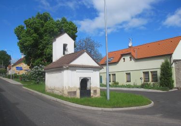 Excursión A pie Hřivice - NS U Petra a Pavla - Photo