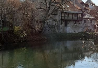 Trail Walking Port-Lesney - Vaulgrenan depuis Port Lesney. - Photo