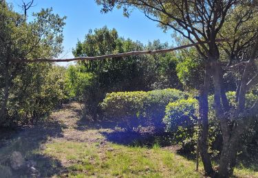 Randonnée Marche Cuges-les-Pins -  Cuges la chapelle st Antoine  - Photo