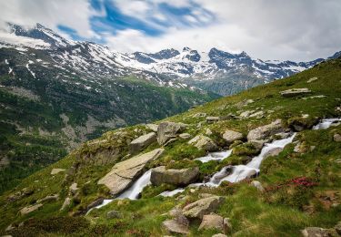 Randonnée A pied Ceresole Reale - IT-540A - Photo