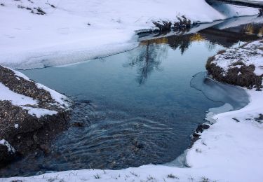 Tour Zu Fuß Fladnitz an der Teichalm - Gh. Holzmeister - Teichalmsee - Photo