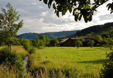 Randonnée A pied Haslach im Kinzigtal - Wald- und Erlebnispfad 