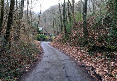 Randonnée A pied Inconnu - Naturfreundeweg Ruhrtalhaus - Werden - Tönisheide - Photo