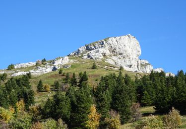 Randonnée Marche Lans-en-Vercors - Pic Saint-Michel - Photo