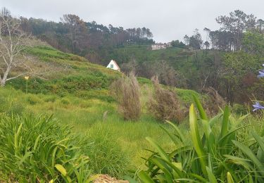 Trail Walking Prazeres - Paul do Mar - Levada nova - Photo