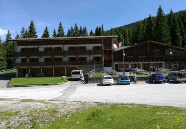 Tour Zu Fuß Forni di Sotto - IT-215 - Photo