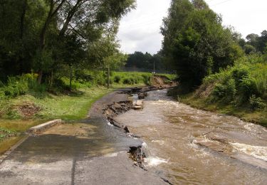 Randonnée A pied Frýdlant - Městský okruh - červená - Photo