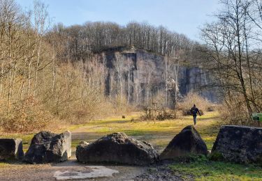 Randonnée Marche Cerfontaine - Balade à Senzeilles - Photo