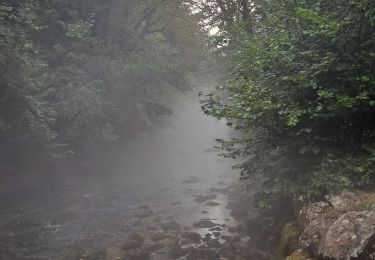 Tocht Stappen Nans-sous-Sainte-Anne - Boucle du Lison - Photo