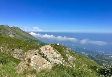 Excursión A pie Pontinvrea - Il Giovo - Prato Rotondo - Photo