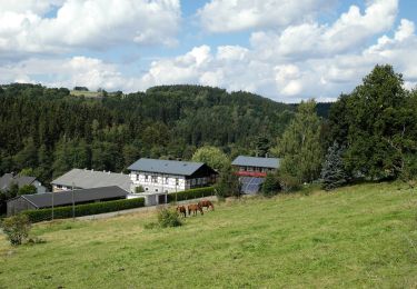 Tocht Te voet Thermalbad Wiesenbad - Ww Thermalbad Wiesenbad - Himmelmühle über Streckewalde - Photo