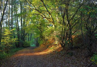 Excursión A pie Kelkheim - Rund um den Rettershof: Weg 4 - Photo