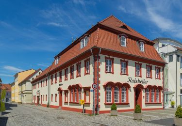 Randonnée A pied Vetschau/Spreewald - Anschluß-Wanderweg Vetschau-Lobendorf(-Reptenener Teiche) - Photo