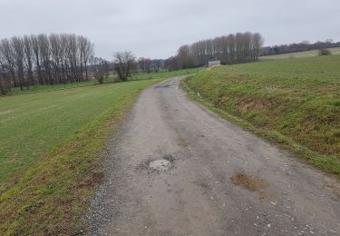 Tocht Stappen Ham-sur-Heure-Nalinnes - Marbaix cimetière-La Houzée - Photo