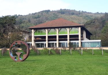 Trail Walking Vinay - Rando patrimoine du 14 novembre 2024 - Photo