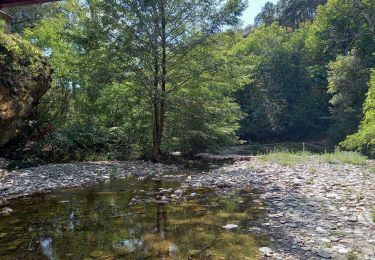 Trail Walking Saint-Martin-de-Boubaux - Galeizon rando semi aquatique  - Photo