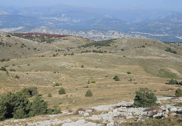 Trail Walking Gréolières - Cretes du Cheiron - Photo