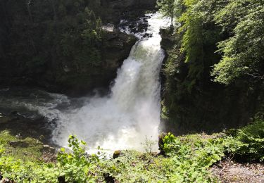 Randonnée A pied Villers-le-Lac - 33-Saut du Doubs - Photo