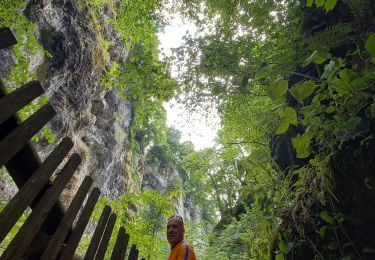 Trail Walking Vic-sur-Cère - Pas de Cère- cascade de Gourdole - Photo