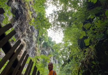 Tour Wandern Vic-sur-Cère - Pas de Cère- cascade de Gourdole - Photo