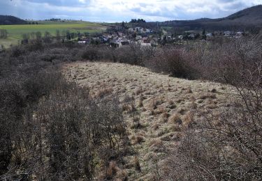 Randonnée A pied Dannenfels - Dannenfels 2: Ruine Wildenstein - Photo