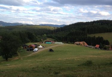 Trail On foot Elzach - Eckstraße (Römerstraße) - Photo