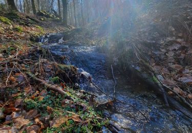 Trail Walking Herbeumont - vers antrogne  - Photo