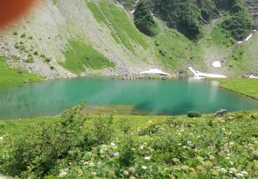 Tocht Stappen Abondance - LAC ET ROC DE TAVANEUSE - Photo