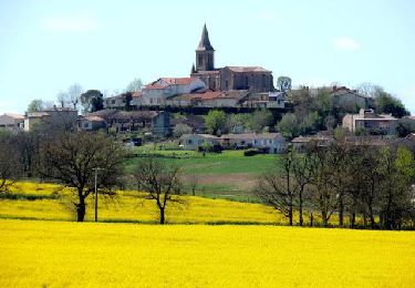 Tocht Stappen Cadalen - Les clochers court 2  - Photo