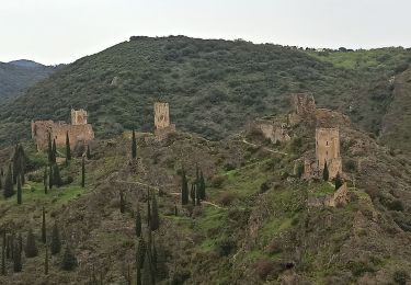 Tour 4x4 Minerve - rb 35 jour 4 - Photo