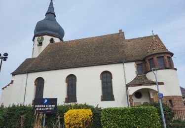 Tour Wandern Sessenheim - Sessenheim - Fort St Louis - rives du Rhin - Photo