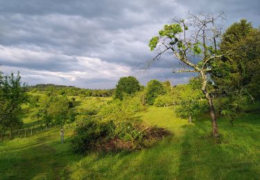 Randonnée A pied Inconnu - Ortsrundwanderweg Eberstadt 2 - Photo