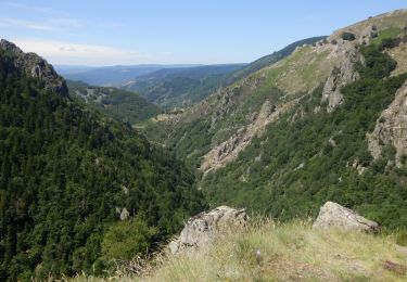 Trail Walking Saint-Laurent-les-Bains-Laval-d'Aurelle - Etape3 Cévenne ardéchoise 17km - Photo