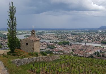 Trail Walking Crozes-Hermitage - Pierre Aiguilhe  Croze - Photo