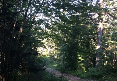 Excursión Senderismo Les Déserts - La croix du Nivolet - Photo