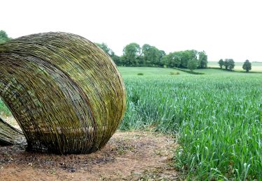 Tocht Stappen Gesves - SENTIERS D'ART - Grande randonnée - Assesse, Ciney, Gesves, Hamois, Havelange, Ohey et Somme-Leuze - Photo