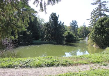 Tocht Te voet Gemeinde Teesdorf - Steinfeldlauf 19,4 km - Photo