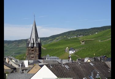 Tour Wandern Bernkastel-Kues - Berncastel 15 Km - Photo