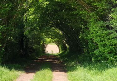 Tocht Mountainbike Moffans-et-Vacheresse - Moffans, vacheresse, lomont, 25 05 2023 - Photo