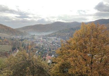 Trail Mountain bike Fréland - wetterkreuz - Photo